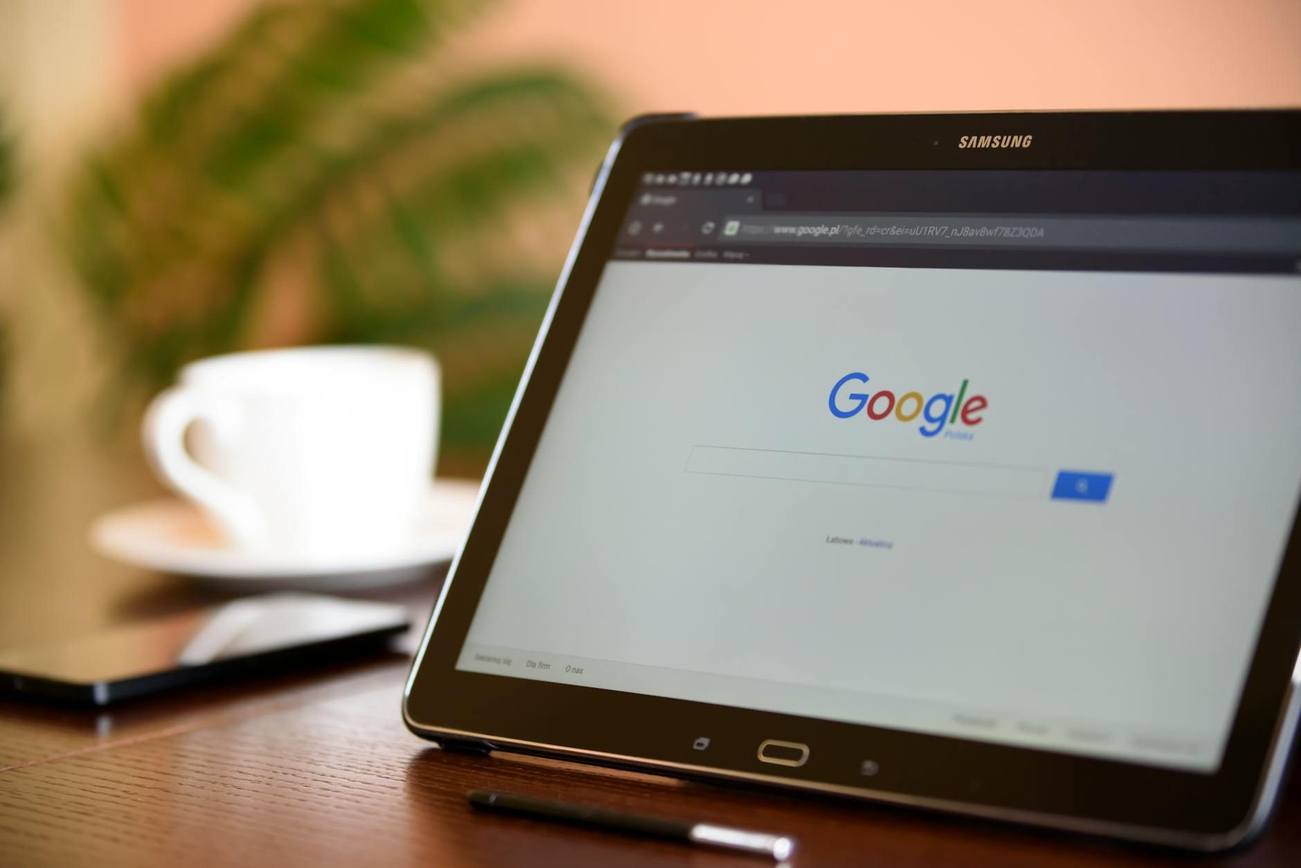 Is the Internet a substitute for lawyers?